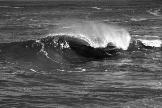 beach waves in the summer