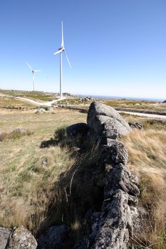 wind turbines black and white