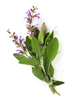 Bunch of flowering sage, tied with kitchen string.