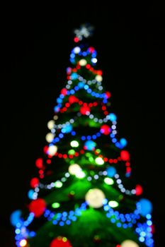 christmas tree, noel fir, glitter pine