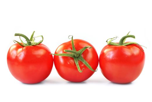 Three vine ripened truss tomatoes, isolated on white.  Natural light.