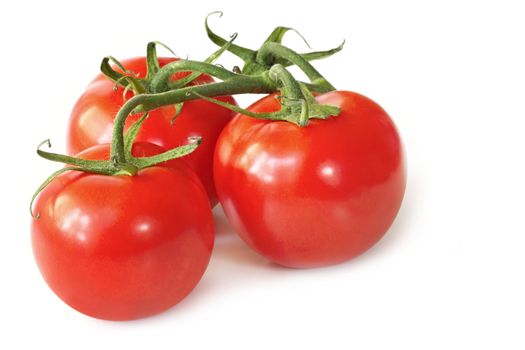 Three vine-ripened beefsteak tomatoes, isolated on white with natural shadow.