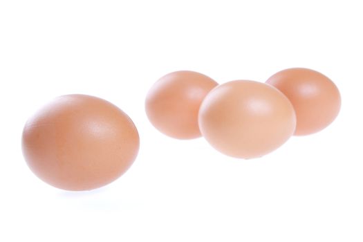 Egg, Bird, Soft, Frail, Light, Weightless, Shell, Brown