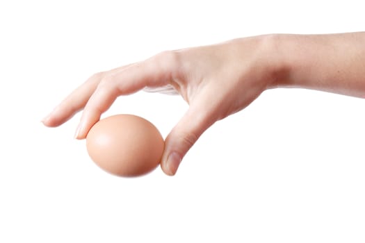 Egg in Hand, Finger, Tenderness, Frail, Shell, Calcium, Protein, Bird, Caution, Insulated, White, background, Brown, Care, Useful, Exquisite, Graceful, Food, Meal