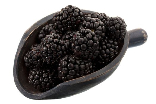 fresh blackberries on a rustic, wooden scoop, isolated on white