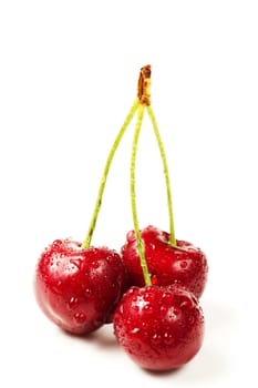 three wet cherries on white background