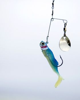 A fishing lure hanging from a fishing line.