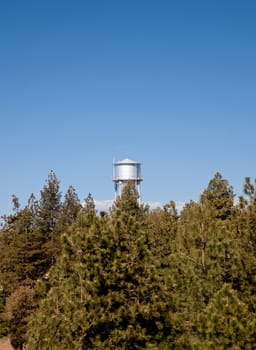 Small silver water tower rises above the conifers on tree line