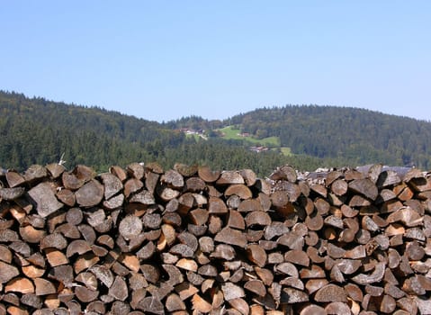 Panorama in bavaria with wood in front of view