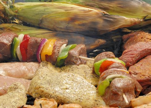 Grilling food on the back yard barbecue.