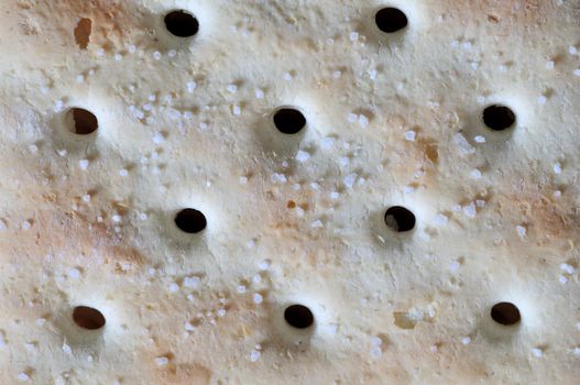 A macro close-up shot of a saltine cracker for background.