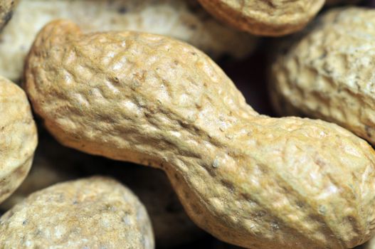 A macro close-up of some shelled peanuts.