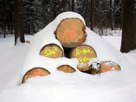 Woodpile covered with snow in mixed forest in winter