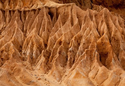 Rugged razor edged erosion in the sandstone on Torrey Pines hillside shown in close-up almost macro view