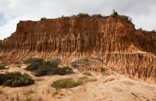 Rugged razor edged erosion in the sandstone on Torrey Pines hillside