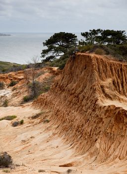 Rugged razor edged erosion in the sandstone on Torrey Pines hillside