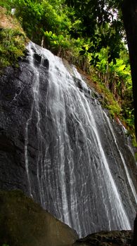 La Coca Falls in the famous El Yunque Rainforest of Puerto Rico (USA).