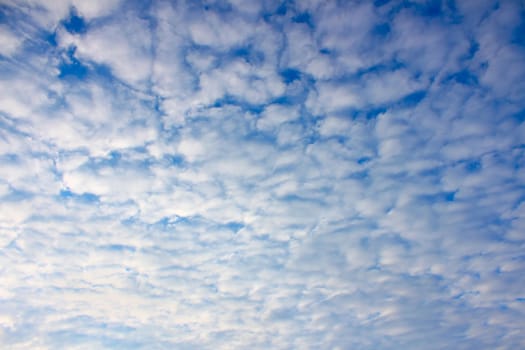 Puffy clouds form a mosaic against the blue sky.