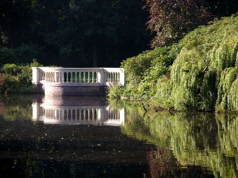 Idyllic pond in a shady urban park