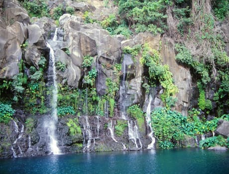 Tropical cascades in La Reunion