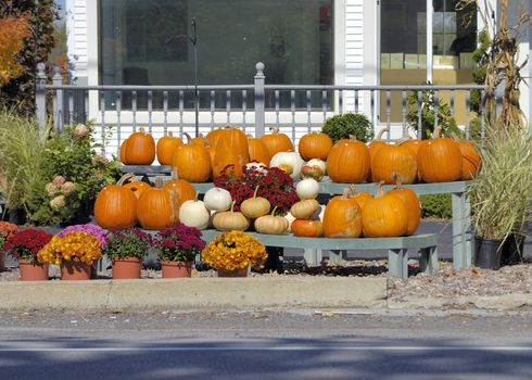 A group of pumpkins and gourds for sale.