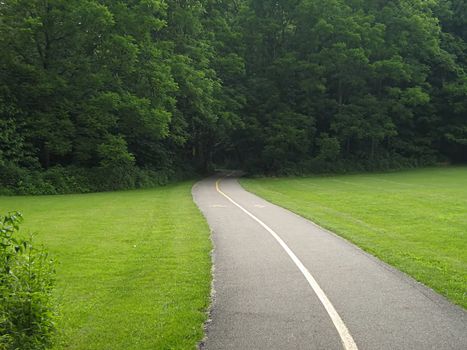 A photograph of a quiet walking trail.