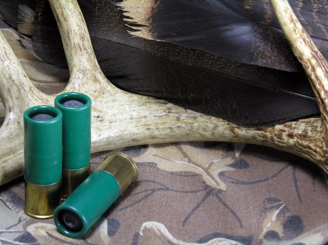 Shotgun shells with whitetail deer antler and wild turkey feathers on a camoflage shirt.