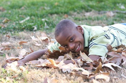 Young Boy Having Fun In The Park