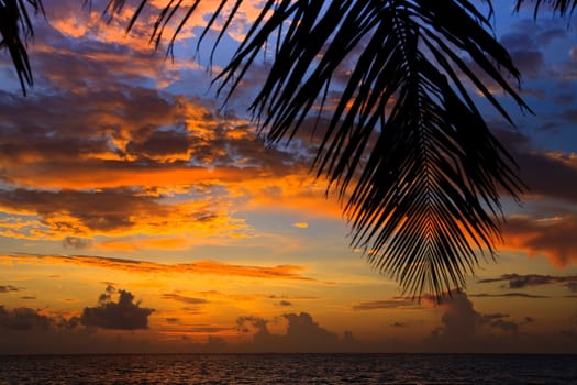 Maldivian Sunset image with nice color