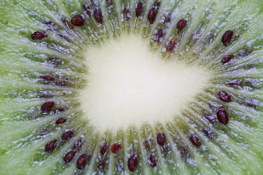 Kiwi, sweet juicy exotic fruit, organic