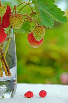 Some strawberries in av vase, standing on a table in a garden.