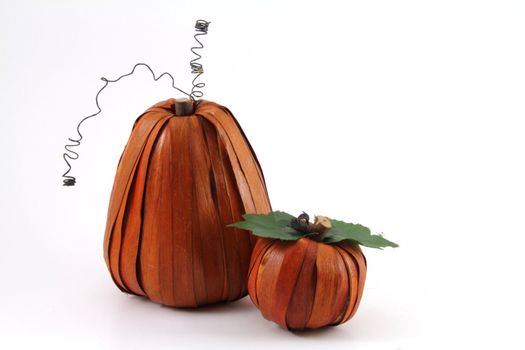 A pair of artistically created pumpkins on a white background.