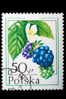 Poland - CIRCA 1974: A stamp is printed in Poland and visited Dewberry, let out CIRCA in 1974.