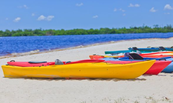 Colorful Kayak's on a sandy beach with blue water and green mangroves