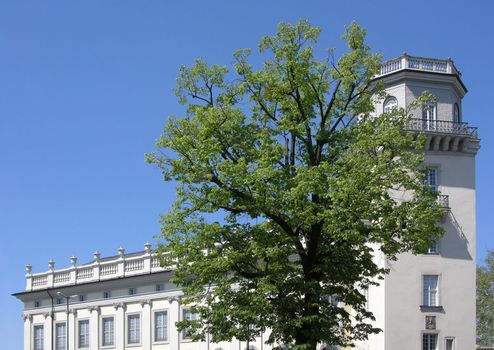 Tree in front of palace in Kassel, Germany