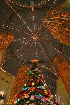 christmas tree under dome, noel fir, glitter pine