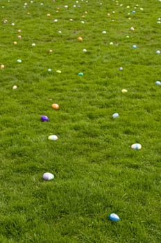 Easter eggs on lawn