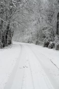 A snow covered road with tire tracks leading into the forest.