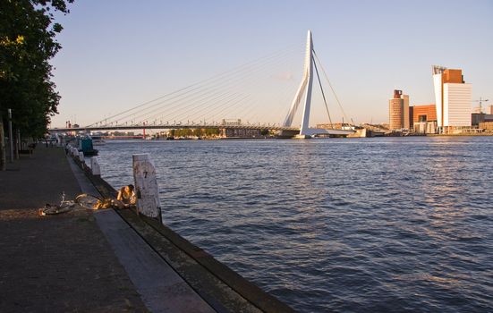 Erasmus bridge with KPN building and Wilhelmina tower in evening light