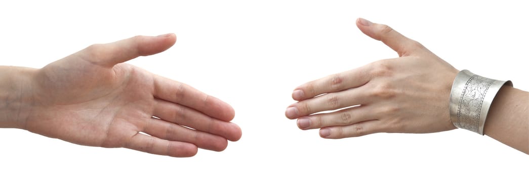 Human hands on the white background