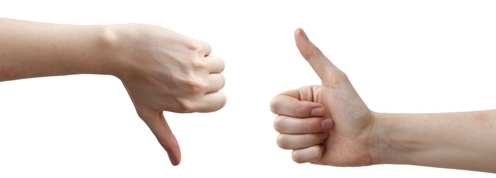 Human hands on the white background