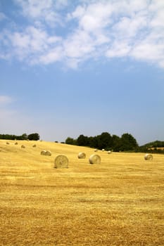 Landscape of a field with bales of hay