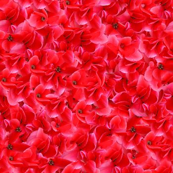 Red Flowers Seamless Pattern - this image can be composed like tiles endlessly without visible lines between parts