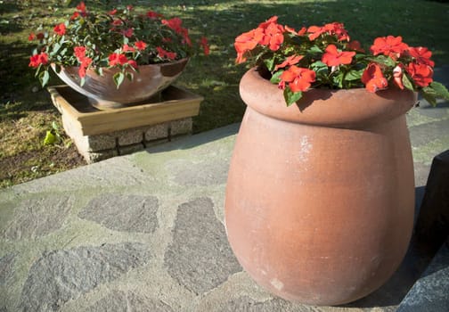 Garden flower pot vase with red flower 