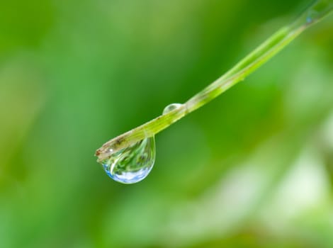 water-drop on green blade with meadow reflection , macro shot