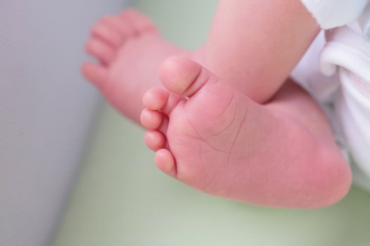 small gentile rose foots infant, with copy-space