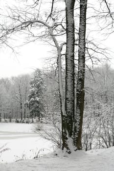 warm winter day in Lianozovsky park, Moscow, Russia