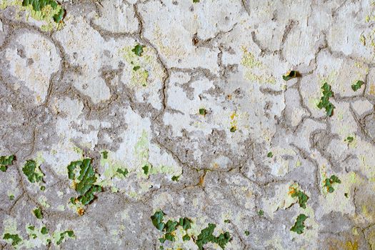 The cracks and spots of green paint on the surface of old plaster - background