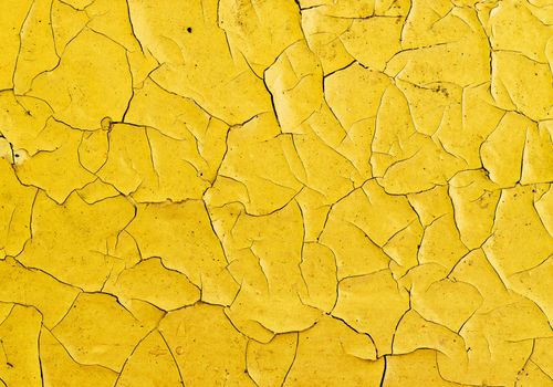 There are many cracks on the surface of oil paint