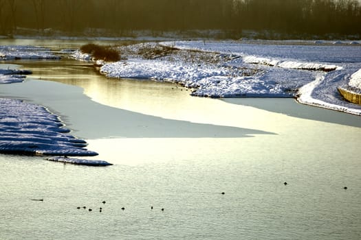 River with snow and ice, with birds 